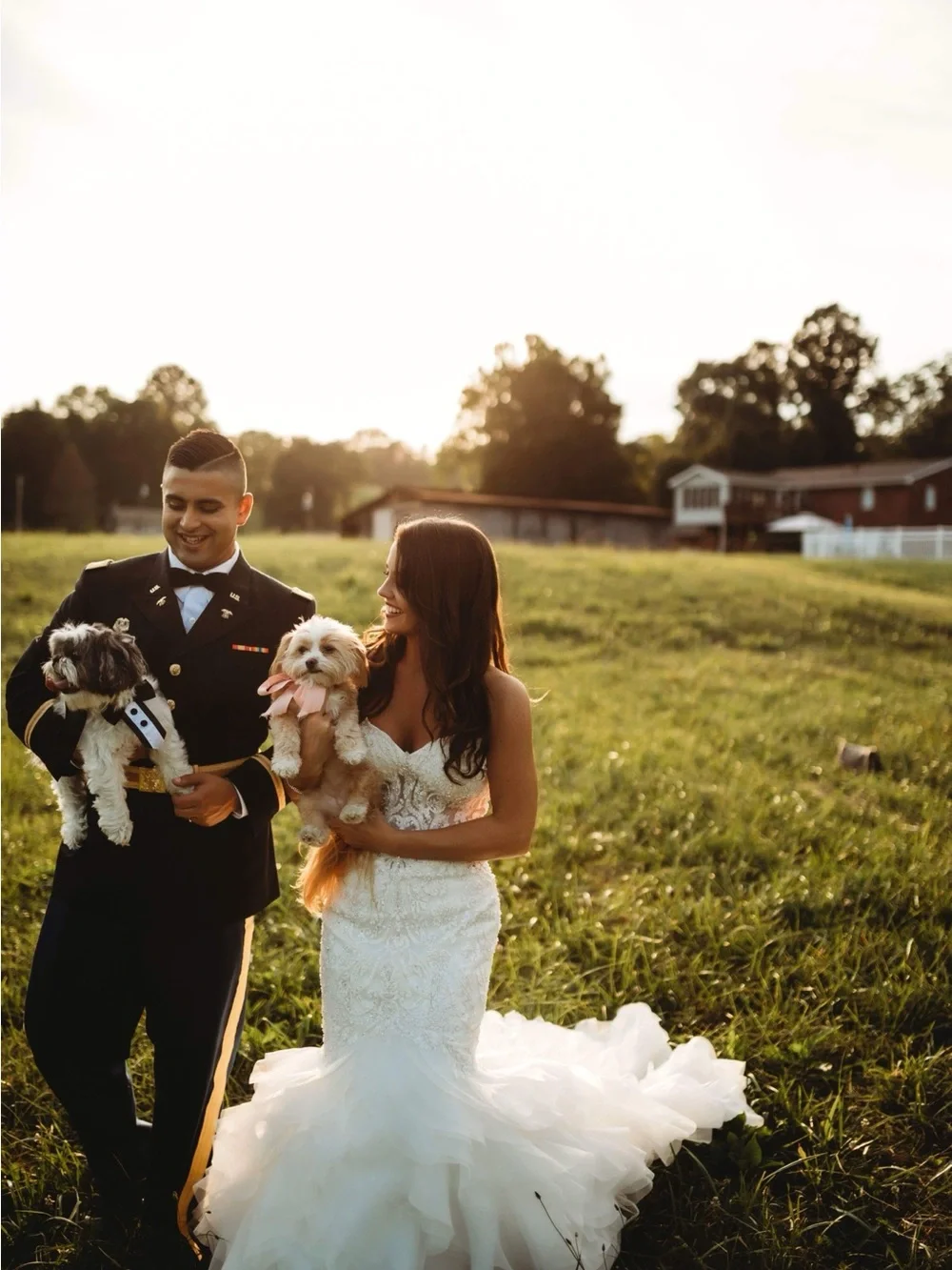 Formal Black and White Dog Tuxedo Vest Harness